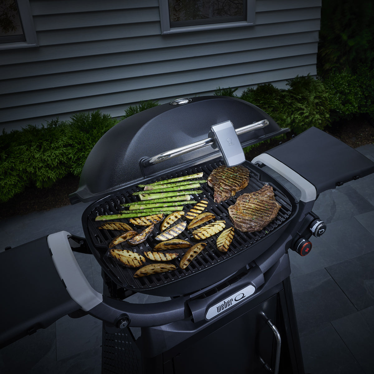 GRILL N GO HANDLE LIGHT FAMILY Q/TRAVELER - GEN 3