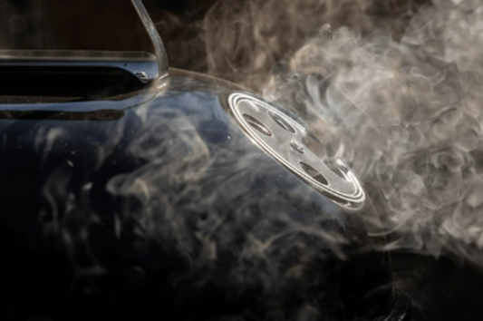 Everything You Need to Know About the Weber Smokey Mountain Cooker