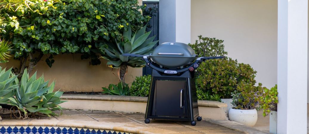 All Weber Gas