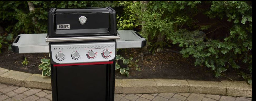 Weber Spirit