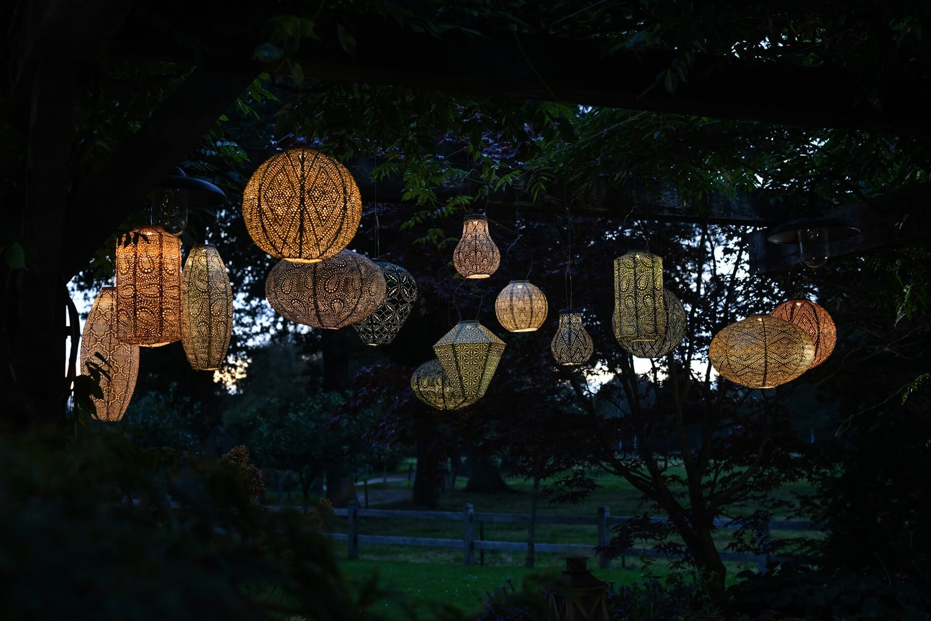 Lumiz Lanterns Hanging on Tree