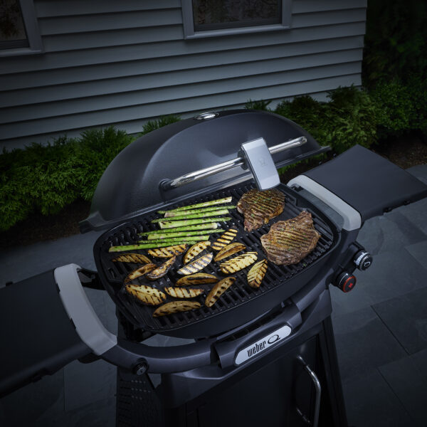 GRILL N GO HANDLE LIGHT Q3X00N, TRAVELER - Image 2